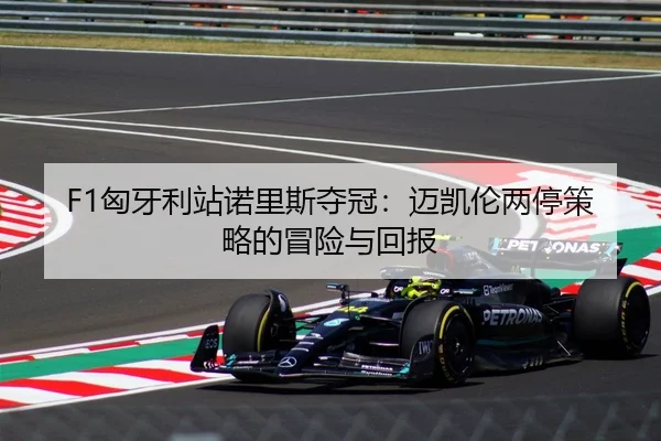 F1匈牙利站诺里斯夺冠：迈凯伦两停策略的冒险与回报